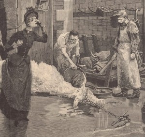 Au XIXe siècle, une foule anémiée se presse dans les abattoirs pour y consommer le sang des animaux sacrifiés et s'affranchit de l'assentiment de la médecine officielle.